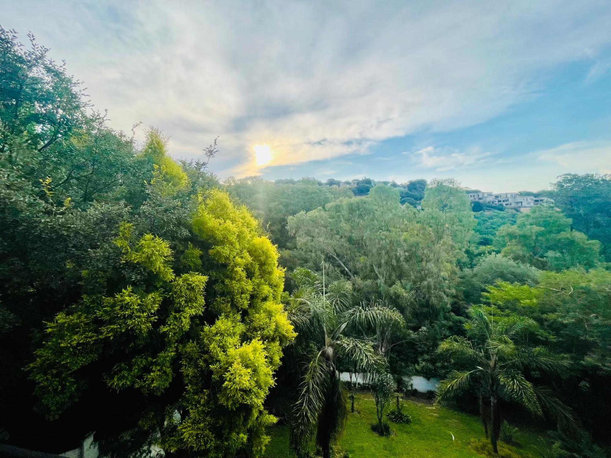 Pretoria Mansion Boutique Hotel Coral Tree מראה חיצוני תמונה